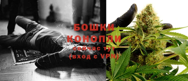 соль ск Дмитров