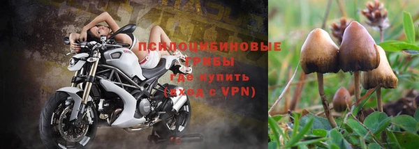 скорость mdpv Алзамай