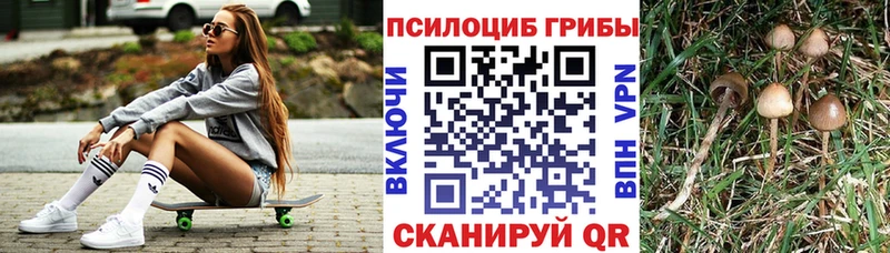 Псилоцибиновые грибы Magic Shrooms мега ссылки Арск